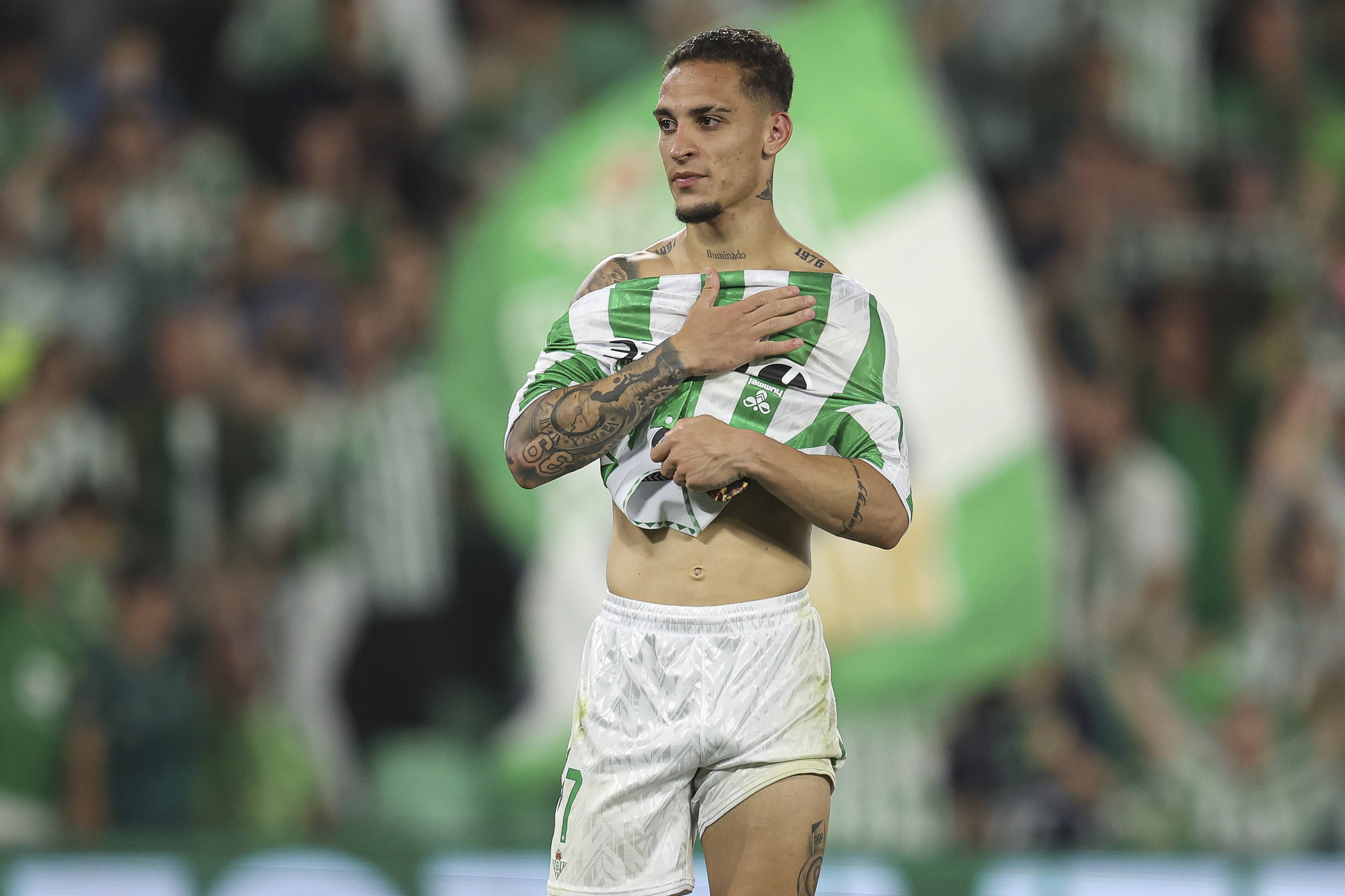 Movis, 关于你的进, 采访时 Movis, 关于你的进, 采访时