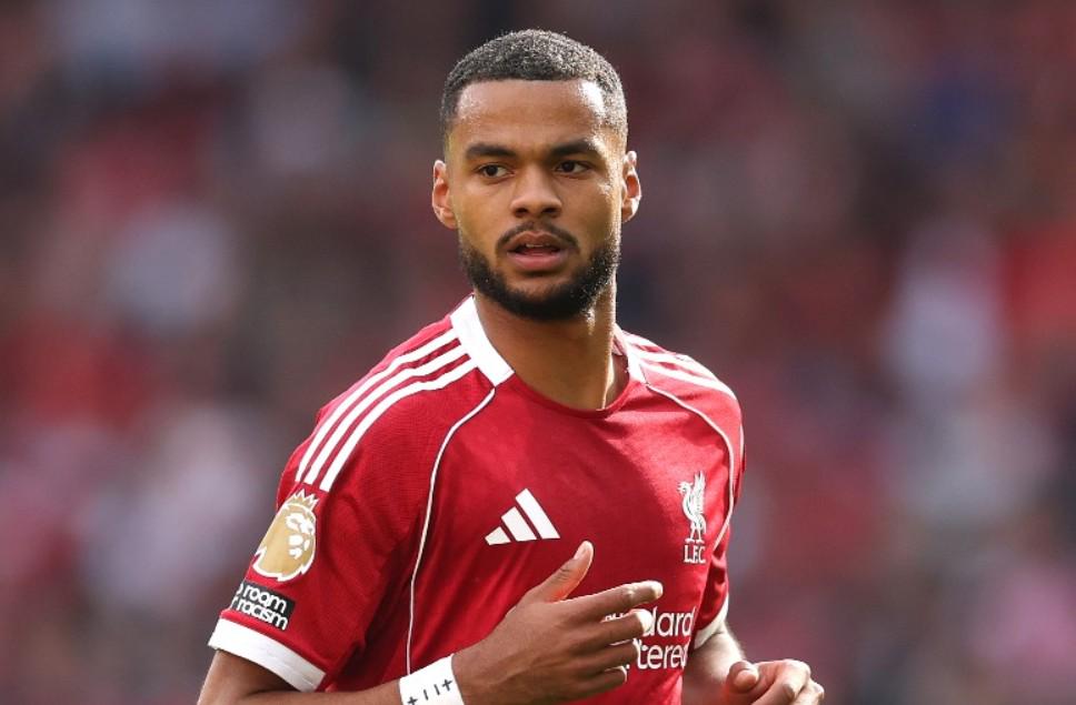 新球员加入 新球员加入